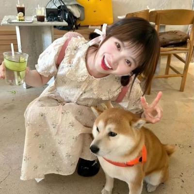 爱情向前冲